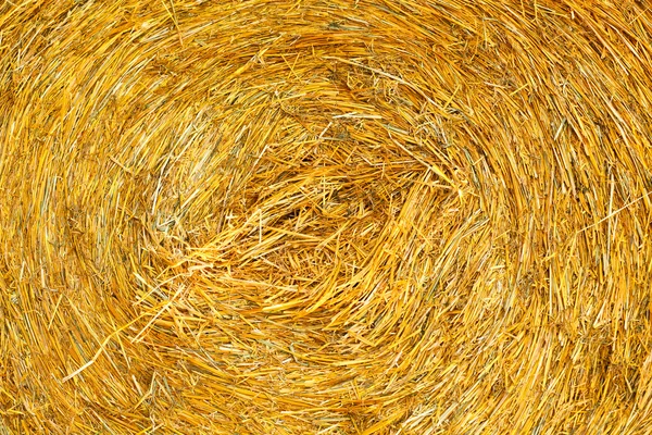 Tekstura zbliżenie złoty stogu siana na łące — Zdjęcie stockowe