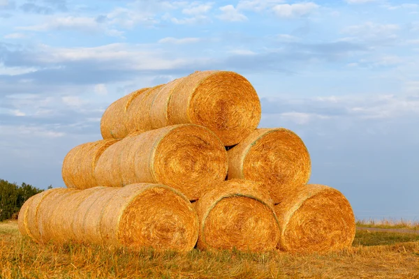 stock image Light golden haystack on the meadow over autumnal blue cloudy sky