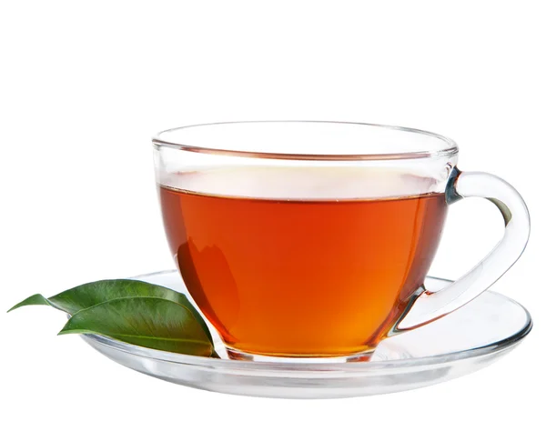 Cup of tea isolated — Stock Photo, Image