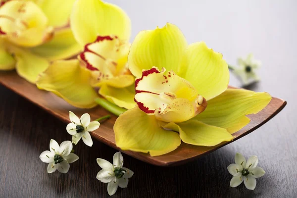 Flores de orquídea em tigela de madeira — Fotografia de Stock