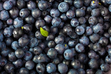 Fresh blueberries background clipart