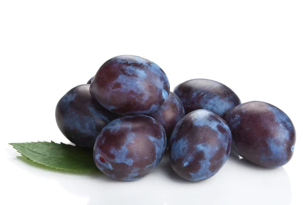 Fresh plums isolated — Stock Photo, Image