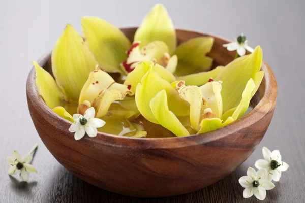 Žluté orchideje v misce — Stock fotografie