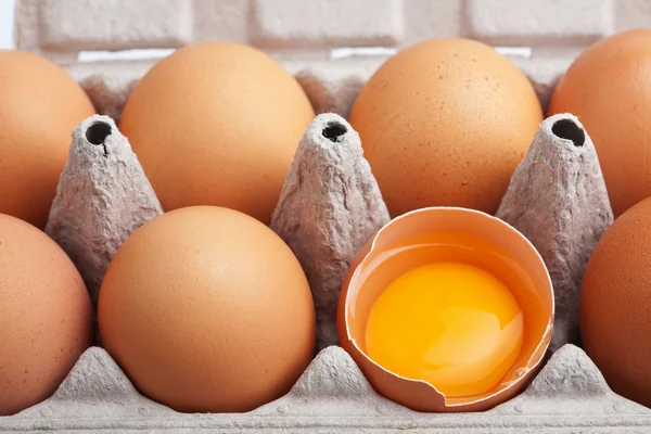 Eieren in doos — Stockfoto