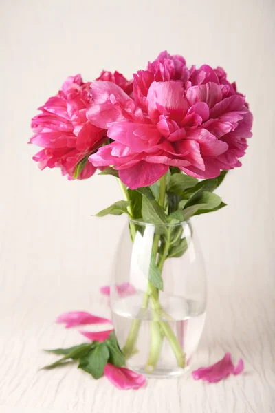 Flores de peonía — Foto de Stock