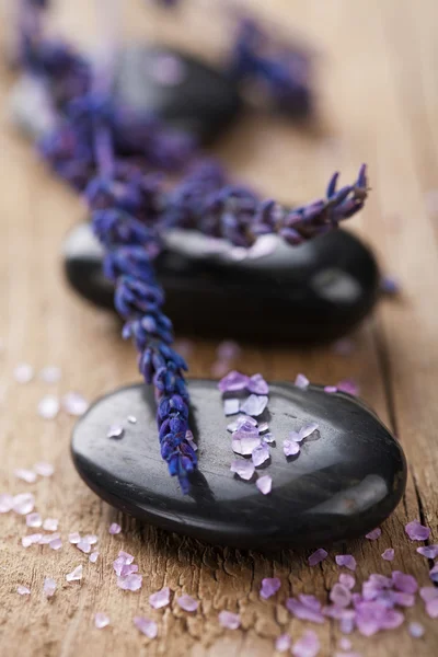 Wellness stones en lavendel — Stockfoto