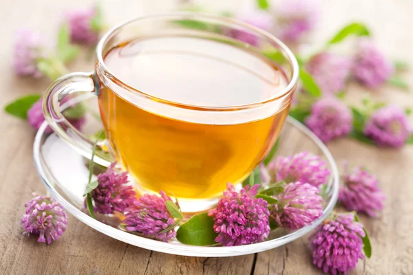 茶和三叶草花类中药 — 图库照片