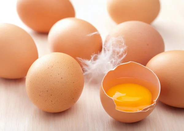 Kahverengi yumurta — Stok fotoğraf