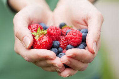 Hands holding fresh berries clipart