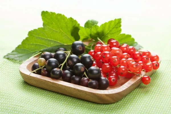 Blackcurrant and redcurrant — Stock Photo, Image