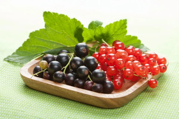 stock image Blackcurrant and redcurrant