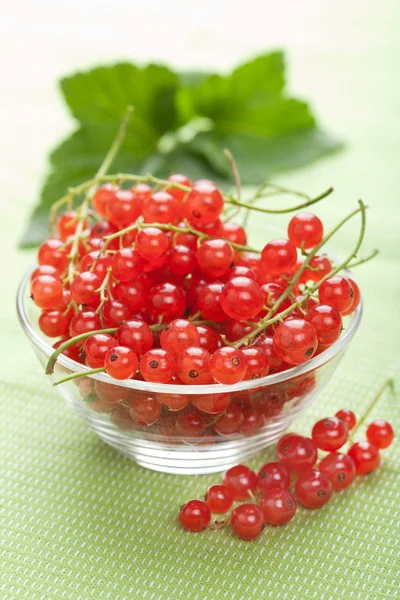 Fresh redcurrant — Stock Photo, Image