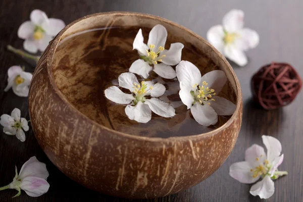 White flowers in bowl — Stock Photo, Image