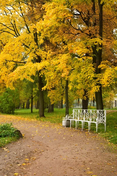 stock image Autumn park