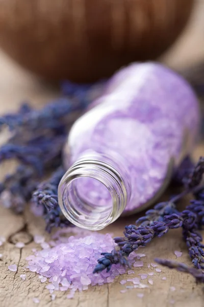 Herbal salt and lavender — Stockfoto