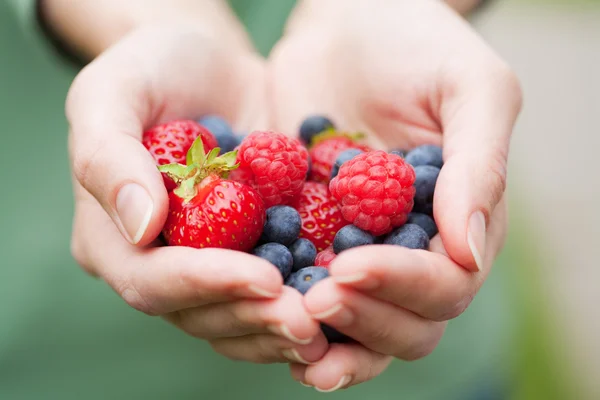 Руки, що тримають свіжі ягоди — стокове фото