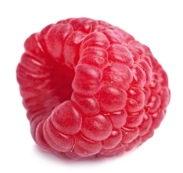 Fresh raspberry isolated — Stock Photo, Image