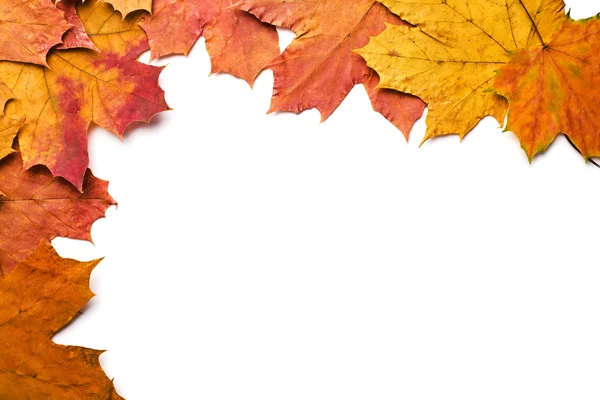 Сухе осіннє листя ізольоване — стокове фото