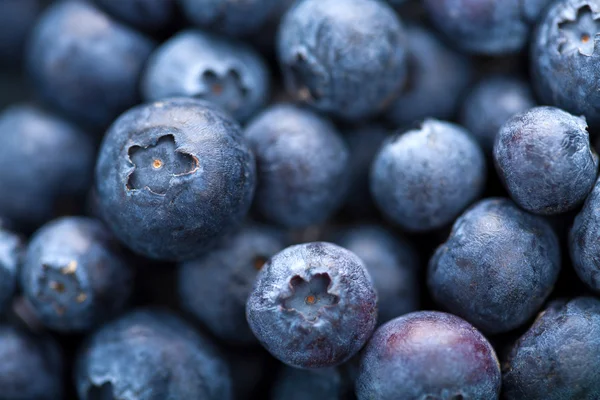 Fresh blueberry background — Stock Photo, Image