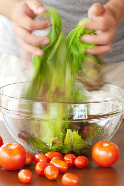 Ember készül salátával — Stock Fotó