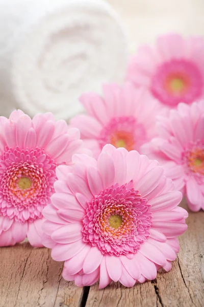 Rosa Blumen und Handtuch für den Wellnessbereich — Stockfoto