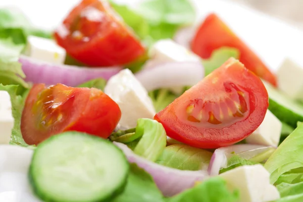 Nahaufnahme von frischem Salat — Stockfoto