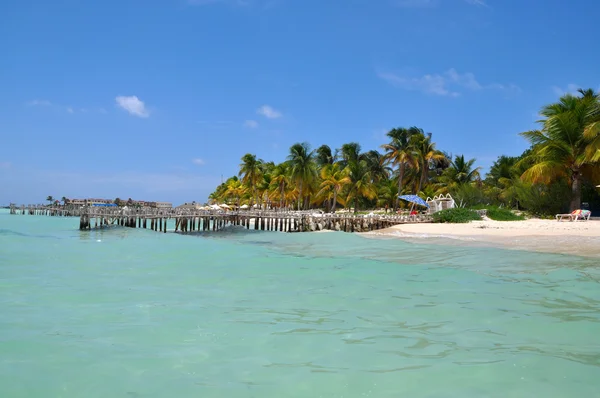 Ідеальний тропічний пляж в Isla Mujeres Ліцензійні Стокові Зображення