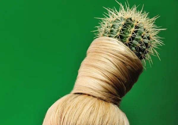 Kaktus in den Haaren — Stockfoto