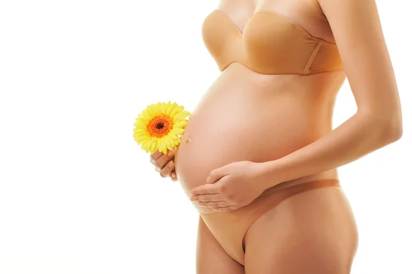 Corpo bonito de uma mulher grávida — Fotografia de Stock