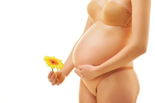 Corpo bonito de uma mulher grávida — Fotografia de Stock