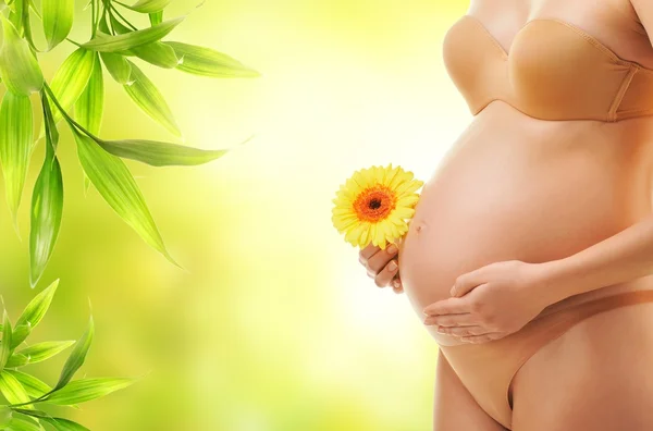Beautiful body of a pregnant woman — Stock Photo, Image