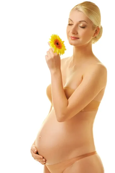 Mulher grávida bonita com flor de gerber — Fotografia de Stock