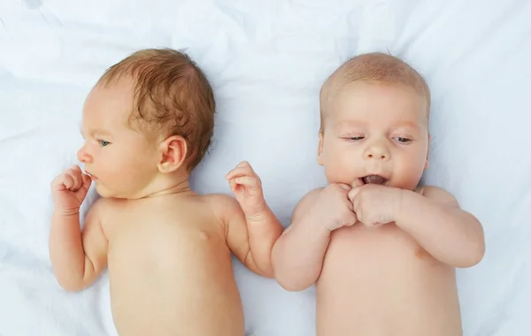 Portrait of a two little baby — Stock Photo, Image
