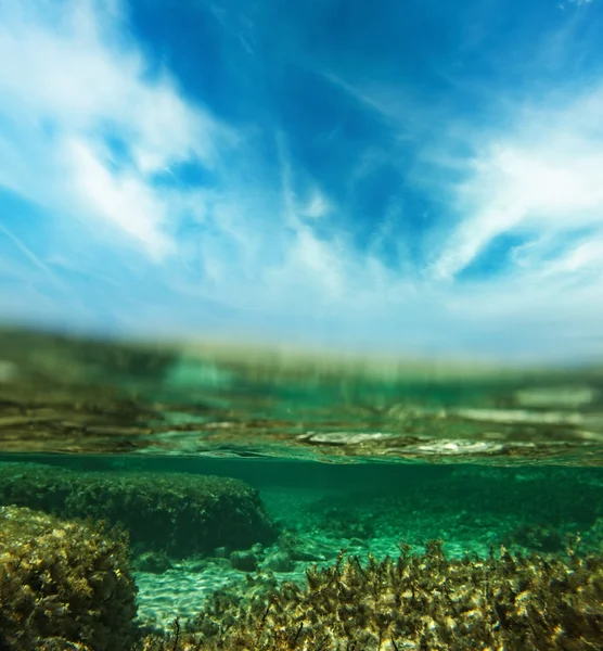 Underwater shot — Stock Photo, Image