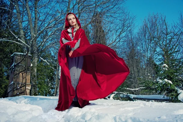 Hermosa capucha roja — Foto de Stock