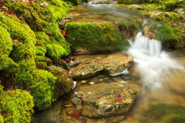 Mountain stream, mossy stones clipart