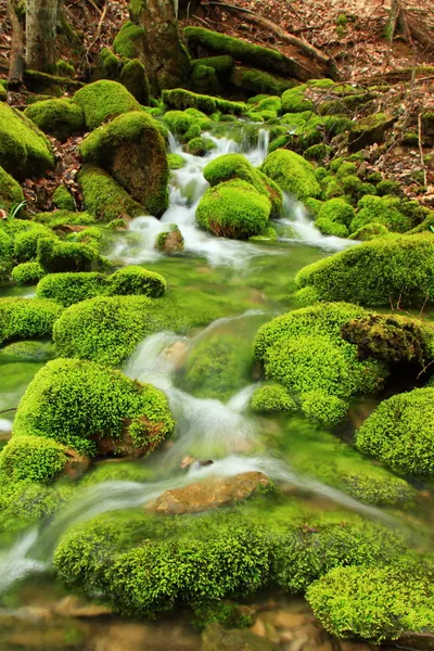 Arroyo de montaña, piedras musgosas — Foto de Stock