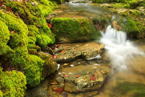 Mountain stream, mossy stones Stock Photo