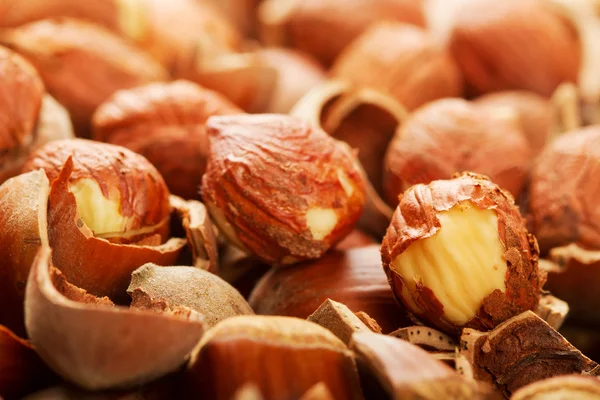 Skořápce ze dřeva ořechy a oříšky — Stock fotografie