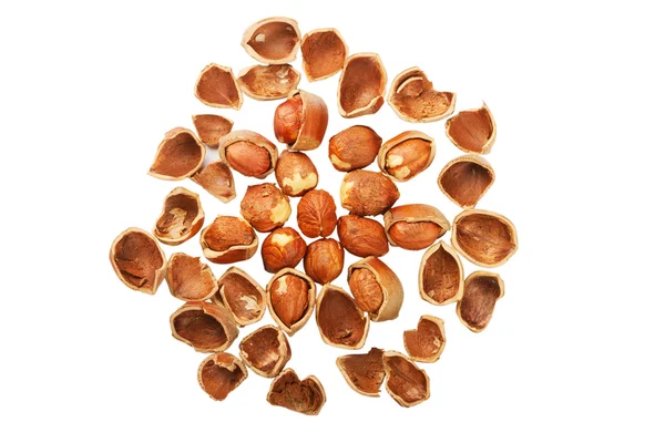 Shell of nuts and nuts — Stock Photo, Image