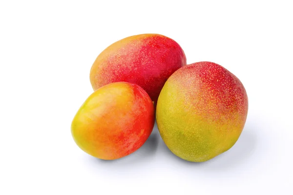 El mango —  Fotos de Stock