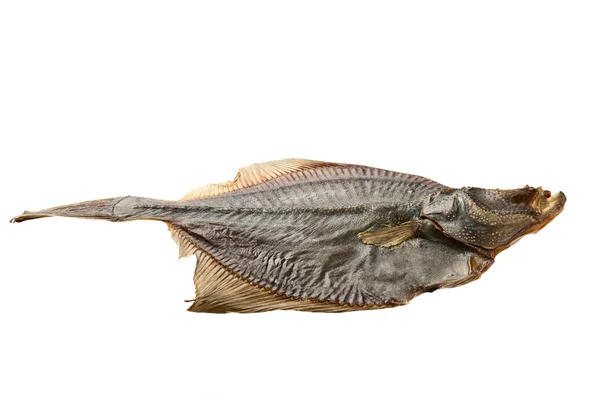 Tørret fisk - Stock-foto