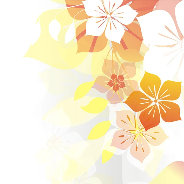 Květinové ilustrace — Stock fotografie