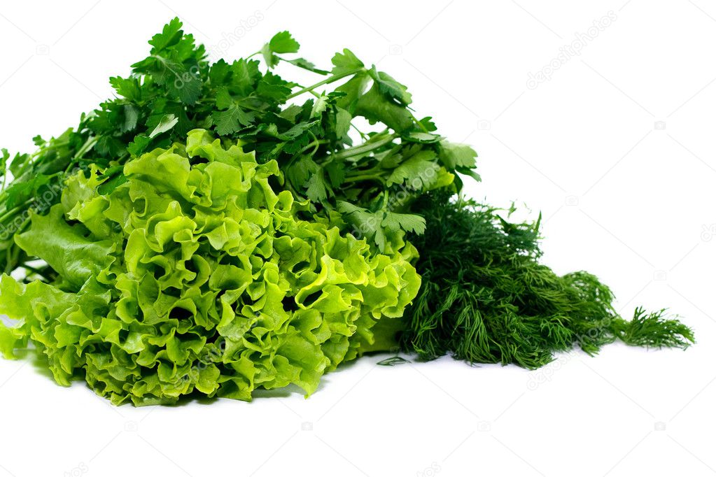 Parsley, dill and lettuce
