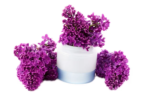 Creme com Lilac — Fotografia de Stock