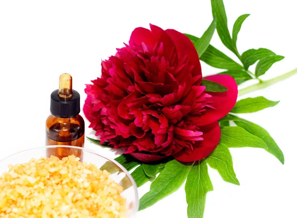 Set de aromaterapia —  Fotos de Stock