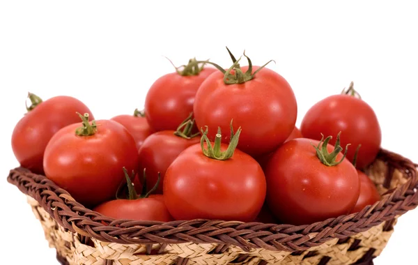 Tomaten — Stockfoto