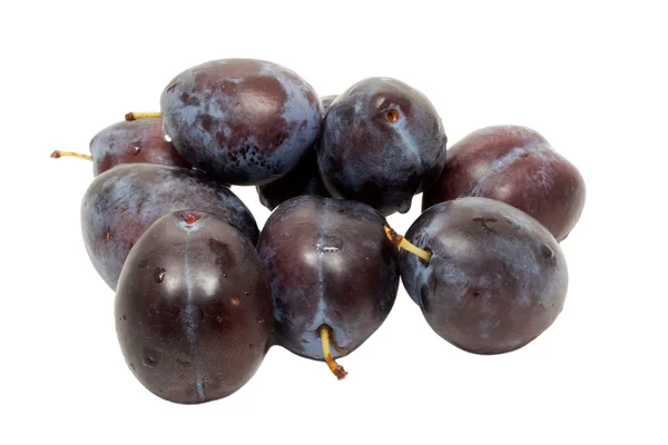 Plums on a white background. — Stock Photo, Image
