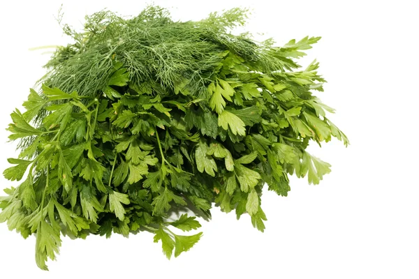 Dill parsley to spices — Stock Photo, Image