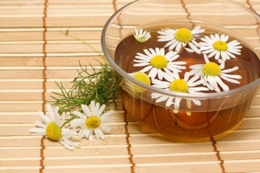 Chamomile tea clipart